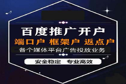 谷歌竞价广告的投放策略与成功案例分析